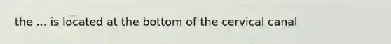 the ... is located at the bottom of the cervical canal