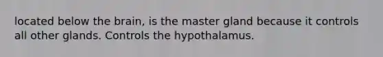 located below the brain, is the master gland because it controls all other glands. Controls the hypothalamus.