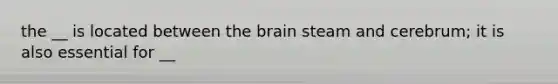 the __ is located between the brain steam and cerebrum; it is also essential for __