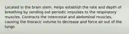 Located in the brain stem. Helps establish the rate and depth of breathing by sending out periodic impulses to the respiratory muscles. Contracts the intercostal and abdominal muscles, causing the thoracic volume to decrease and force air out of the lungs