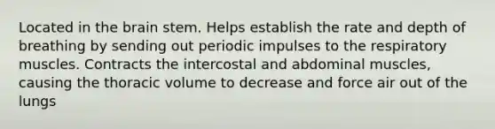 Located in the brain stem. Helps establish the rate and depth of breathing by sending out periodic impulses to the respiratory muscles. Contracts the intercostal and abdominal muscles, causing the thoracic volume to decrease and force air out of the lungs