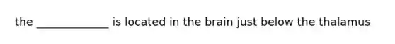 the _____________ is located in the brain just below the thalamus