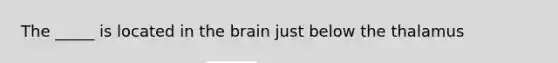 The _____ is located in the brain just below the thalamus