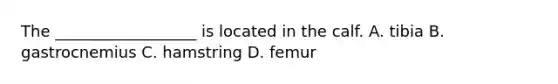 The​ __________________ is located in the calf. A. tibia B. gastrocnemius C. hamstring D. femur