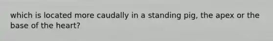 which is located more caudally in a standing pig, the apex or the base of <a href='https://www.questionai.com/knowledge/kya8ocqc6o-the-heart' class='anchor-knowledge'>the heart</a>?