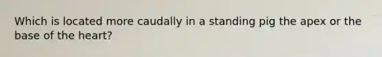 Which is located more caudally in a standing pig the apex or the base of the heart?