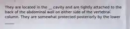 They are located in the __ cavity and are tightly attached to the back of the abdominal wall on either side of the vertebral column. They are somewhat protected posteriorly by the lower _____