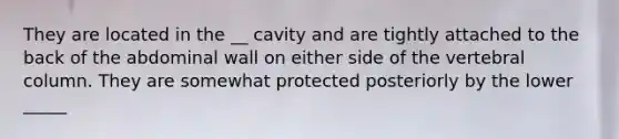 They are located in the __ cavity and are tightly attached to the back of the abdominal wall on either side of the vertebral column. They are somewhat protected posteriorly by the lower _____