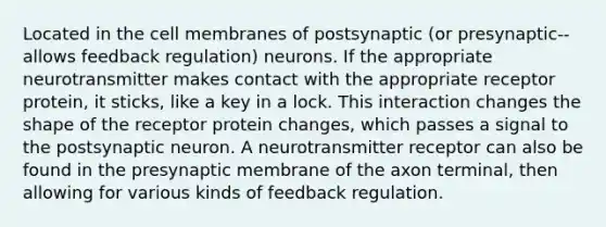 Located in the cell membranes of postsynaptic (or presynaptic--allows feedback regulation) neurons. If the appropriate neurotransmitter makes contact with the appropriate receptor protein, it sticks, like a key in a lock. This interaction changes the shape of the receptor protein changes, which passes a signal to the postsynaptic neuron. A neurotransmitter receptor can also be found in the presynaptic membrane of the axon terminal, then allowing for various kinds of feedback regulation.