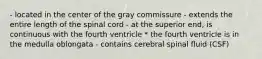 - located in the center of the gray commissure - extends the entire length of the spinal cord - at the superior end, is continuous with the fourth ventricle * the fourth ventricle is in the medulla oblongata - contains cerebral spinal fluid (CSF)