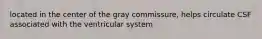 located in the center of the gray commissure, helps circulate CSF associated with the ventricular system