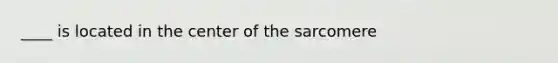 ____ is located in the center of the sarcomere