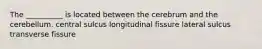 The __________ is located between the cerebrum and the cerebellum. central sulcus longitudinal fissure lateral sulcus transverse fissure