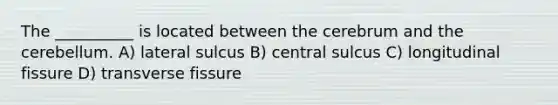 The __________ is located between the cerebrum and the cerebellum. A) lateral sulcus B) central sulcus C) longitudinal fissure D) transverse fissure