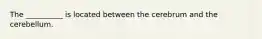 The __________ is located between the cerebrum and the cerebellum.