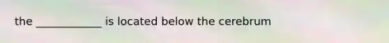 the ____________ is located below the cerebrum