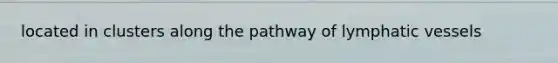 located in clusters along the pathway of lymphatic vessels