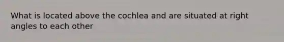 What is located above the cochlea and are situated at right angles to each other