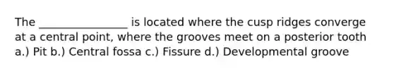 The ________________ is located where the cusp ridges converge at a central point, where the grooves meet on a posterior tooth a.) Pit b.) Central fossa c.) Fissure d.) Developmental groove