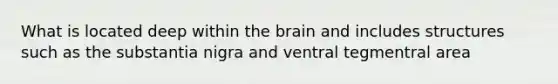 What is located deep within the brain and includes structures such as the substantia nigra and ventral tegmentral area