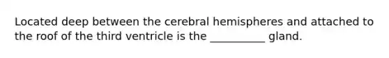 Located deep between the cerebral hemispheres and attached to the roof of the third ventricle is the __________ gland.