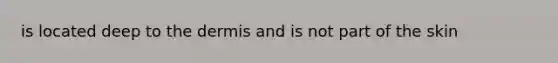 is located deep to <a href='https://www.questionai.com/knowledge/kEsXbG6AwS-the-dermis' class='anchor-knowledge'>the dermis</a> and is not part of the skin