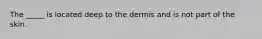 The _____ is located deep to the dermis and is not part of the skin.