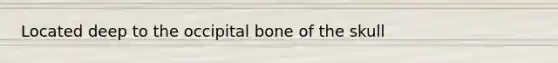 Located deep to the occipital bone of the skull