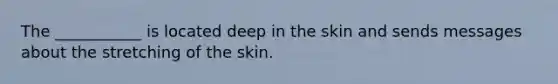 The ___________ is located deep in the skin and sends messages about the stretching of the skin.