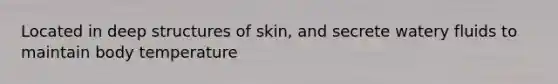 Located in deep structures of skin, and secrete watery fluids to maintain body temperature