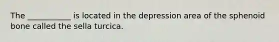 The ___________ is located in the depression area of the sphenoid bone called the sella turcica.