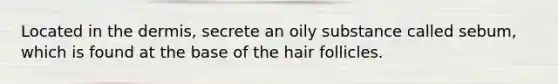 Located in the dermis, secrete an oily substance called sebum, which is found at the base of the hair follicles.