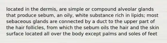 located in <a href='https://www.questionai.com/knowledge/kEsXbG6AwS-the-dermis' class='anchor-knowledge'>the dermis</a>, are simple or compound alveolar glands that produce sebum, an oily, white substance rich in lipids; most sebaceous glands are connected by a duct to the upper part of the hair follicles, from which the sebum oils the hair and the skin surface located all over the body except palms and soles of feet