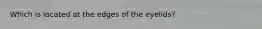 Which is located at the edges of the eyelids?