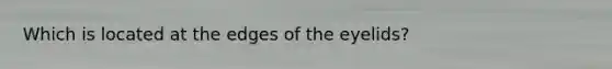 Which is located at the edges of the eyelids?