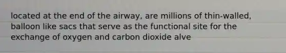 located at the end of the airway, are millions of thin-walled, balloon like sacs that serve as the functional site for the exchange of oxygen and carbon dioxide alve