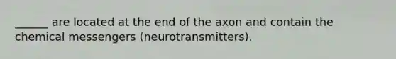 ______ are located at the end of the axon and contain the chemical messengers (neurotransmitters).