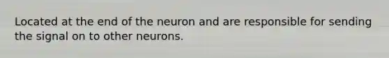 Located at the end of the neuron and are responsible for sending the signal on to other neurons.