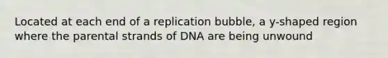 Located at each end of a replication bubble, a y-shaped region where the parental strands of DNA are being unwound