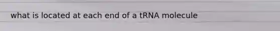 what is located at each end of a tRNA molecule