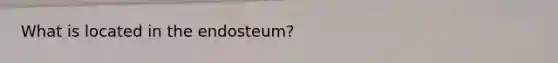 What is located in the endosteum?