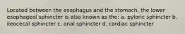 Located between the esophagus and the stomach, the lower esophageal sphincter is also known as the: a. pyloric sphincter b. ileocecal sphincter c. anal sphincter d. cardiac sphincter