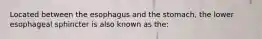 Located between the esophagus and the stomach, the lower esophageal sphincter is also known as the:
