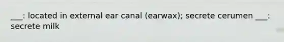 ___: located in external ear canal (earwax); secrete cerumen ___: secrete milk