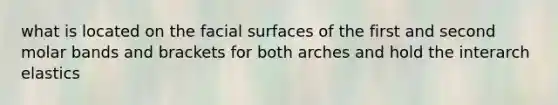 what is located on the facial surfaces of the first and second molar bands and brackets for both arches and hold the interarch elastics