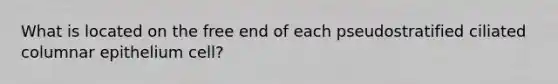 What is located on the free end of each pseudostratified ciliated columnar epithelium cell?