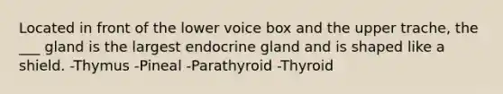 Located in front of the lower voice box and the upper trache, the ___ gland is the largest endocrine gland and is shaped like a shield. -Thymus -Pineal -Parathyroid -Thyroid