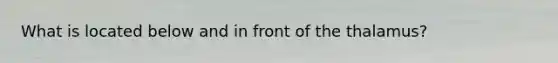 What is located below and in front of the thalamus?