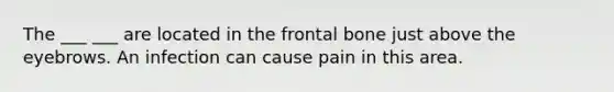 The ___ ___ are located in the frontal bone just above the eyebrows. An infection can cause pain in this area.