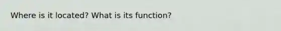 Where is it located? What is its function?